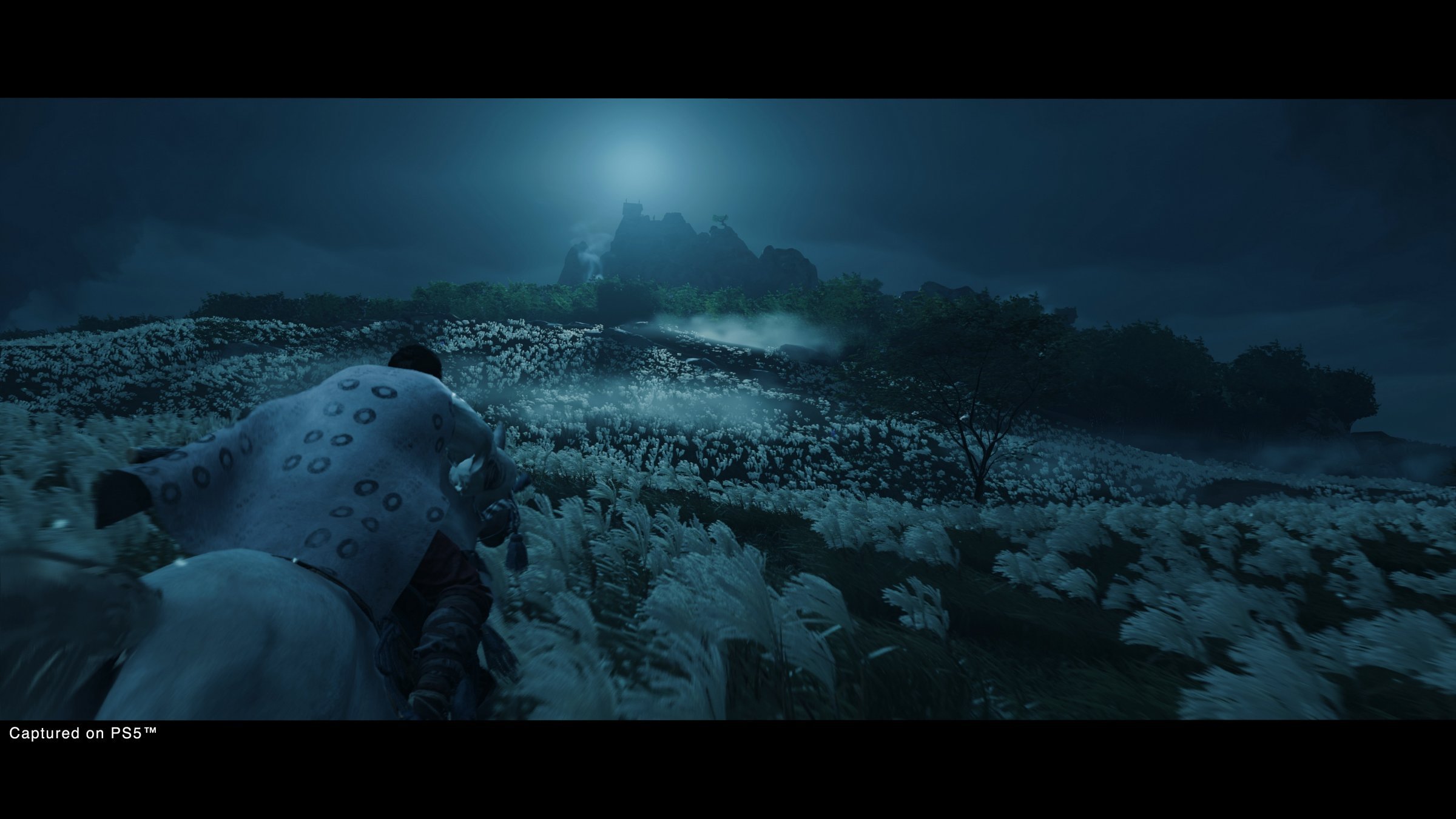 Ghost of Tsushima: Director´s Cut - Imagen 40
